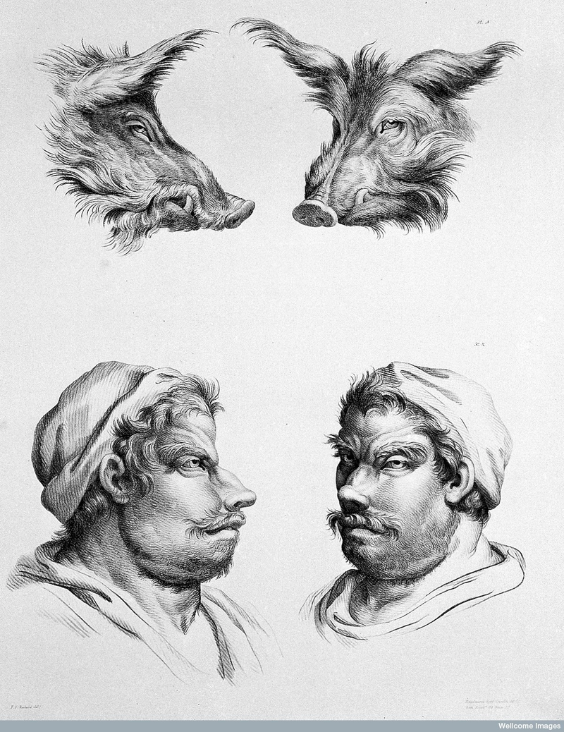 Illustration for article titled Baroque-Era Drawings Reveal Early Ideas About Evolution